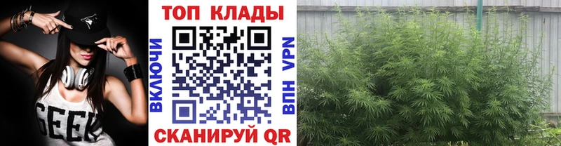 Купить наркотики сайты Верхняя Салда Cocaine  Марихуана  Меф  мега зеркало  Гашиш  А ПВП 