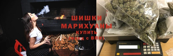 ГАЛЛЮЦИНОГЕННЫЕ ГРИБЫ Горняк