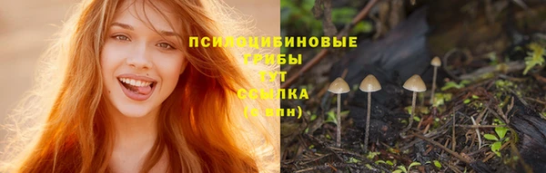 прущие крисы Горнозаводск