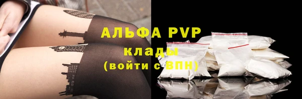 ГАЛЛЮЦИНОГЕННЫЕ ГРИБЫ Горняк
