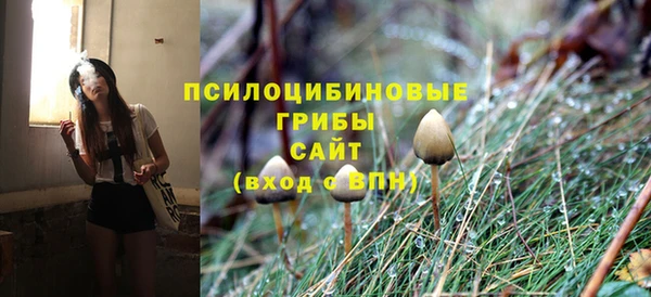ГАЛЛЮЦИНОГЕННЫЕ ГРИБЫ Горняк