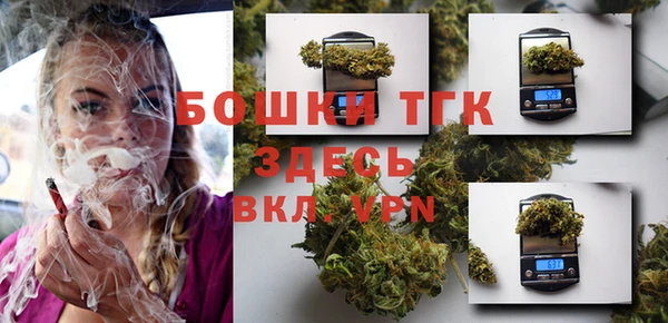 ГАЛЛЮЦИНОГЕННЫЕ ГРИБЫ Горняк