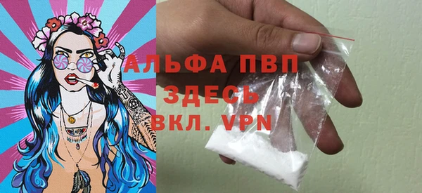 ГАЛЛЮЦИНОГЕННЫЕ ГРИБЫ Горняк