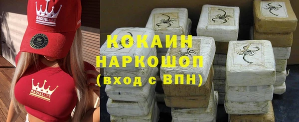 ГАЛЛЮЦИНОГЕННЫЕ ГРИБЫ Горняк