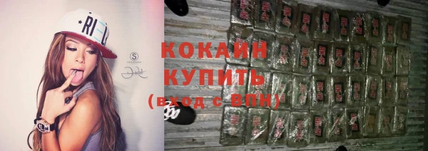 ГАЛЛЮЦИНОГЕННЫЕ ГРИБЫ Горняк