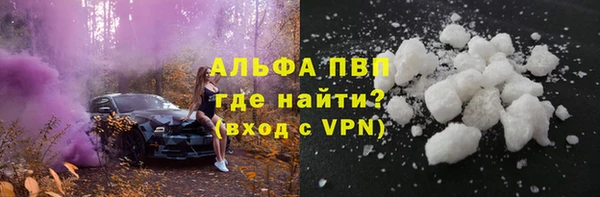 ГАЛЛЮЦИНОГЕННЫЕ ГРИБЫ Горняк