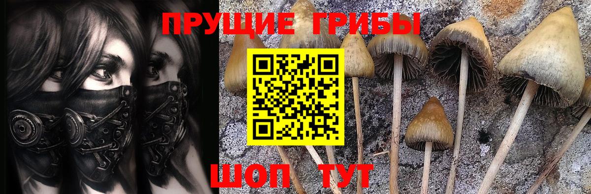 Псилоцибиновые грибы ЛСД  Псилоцибиновые грибы прущие грибы  Вход с VPN  Верхняя Салда 