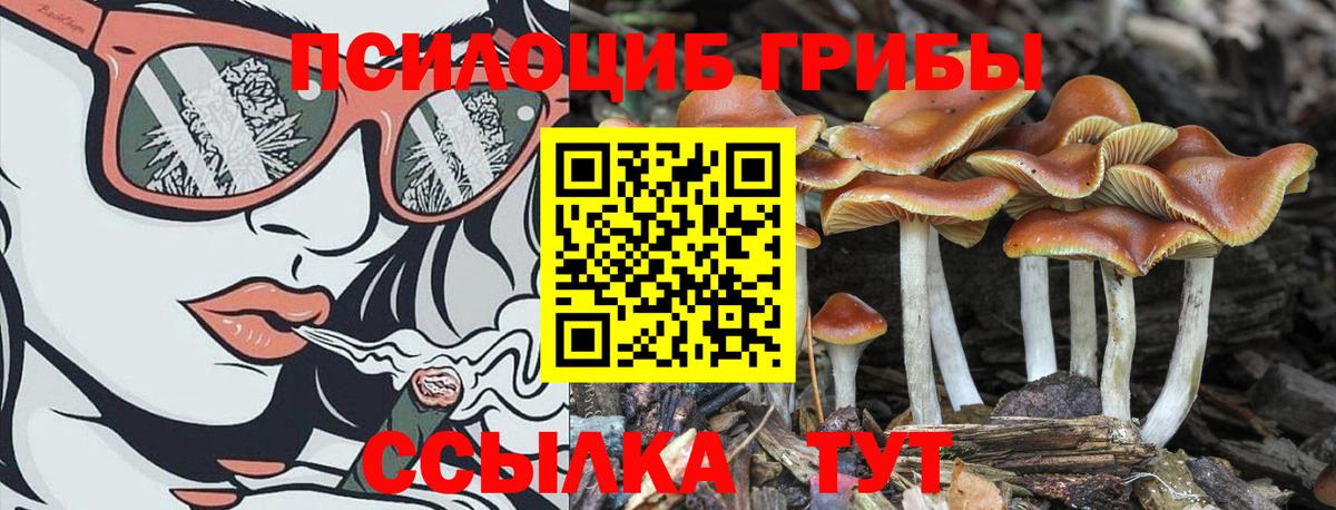 Псилоцибиновые грибы Cubensis Верхняя Салда